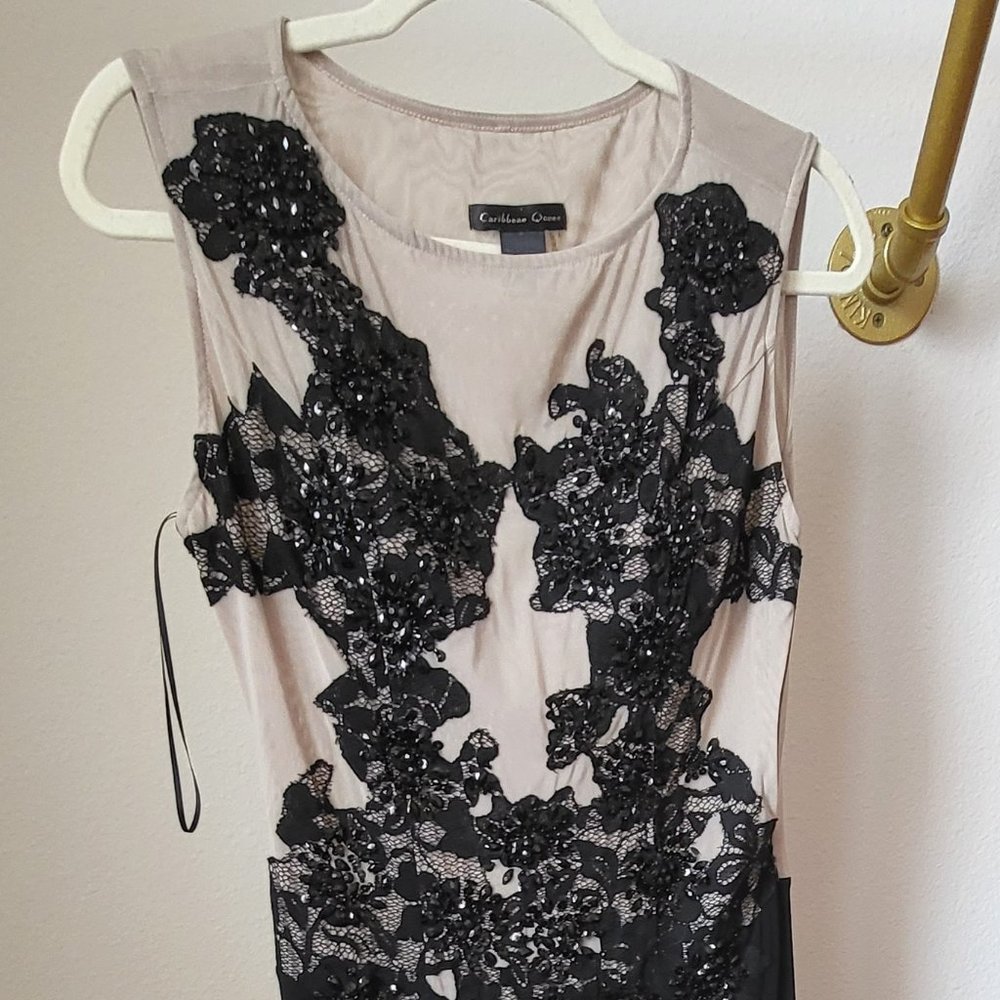Black and Tan Long Dress